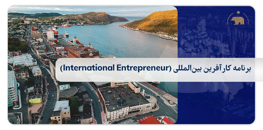 برنامه کارآفرین بین‌المللی (International Entrepreneur)
