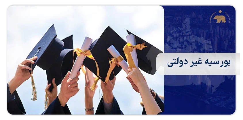 بورسیه غیر دولتی